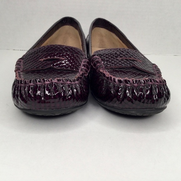 Arturo Chiang snake embossed gorgeous flats. - Picture 8 of 10